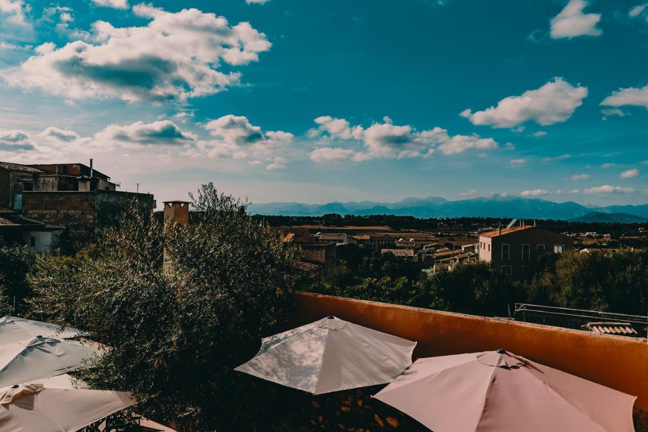 Can Serrete Sineu  Luaran gambar